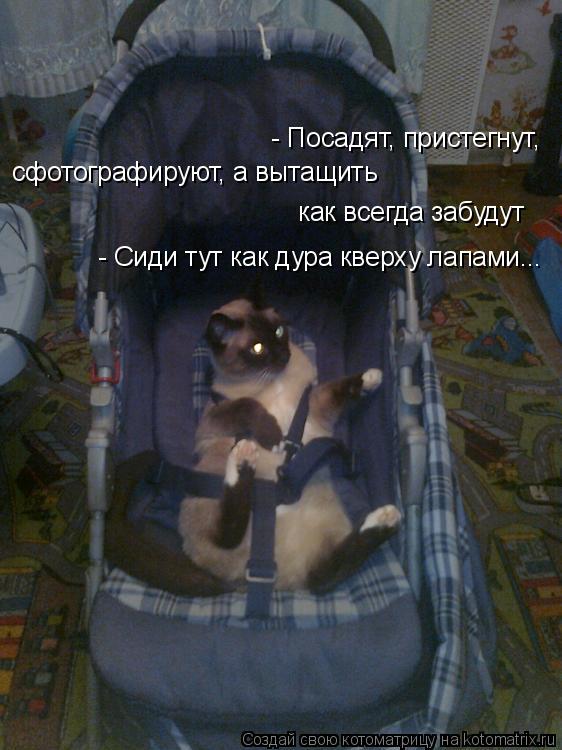 - Посадят, пристегнут, сфотографируют, а вытащить - Сиди тут как дура кверху лапами... как всегда заб... Котоматрица: - Посадят, пристегнут, сфотографируют, а вытащить - Сиди тут как дура кверху лапами... как всегда забудут