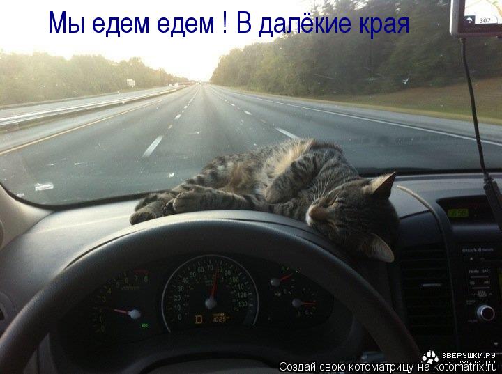 Мы едем едем ! В далёкие края... Котоматрица: Мы едем едем ! В далёкие края