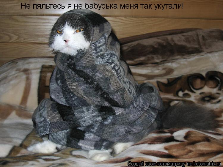 Не пяльтесь я не бабуська меня так укутали!... Котоматрица: Не пяльтесь я не бабуська меня так укутали!