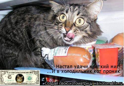 ...И в холодильник кот проник! Настал удачи краткий миг!... Котоматрица: ...И в холодильник кот проник! Настал удачи краткий миг!