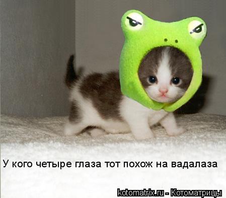 У кого четыре глаза тот похож на вадалаза... Котоматрица: У кого четыре глаза тот похож на вадалаза