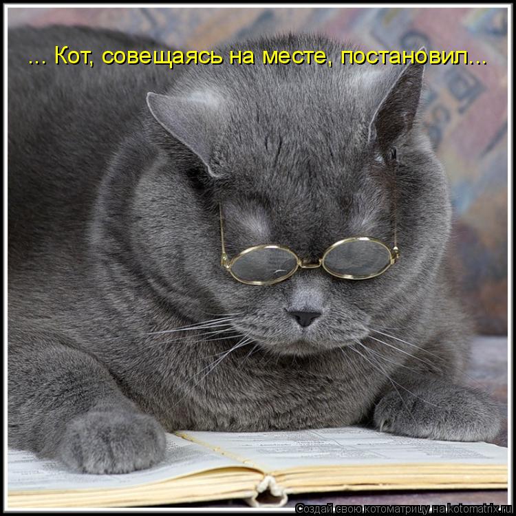 ... Кот, совещаясь на месте, постановил...... Котоматрица: ... Кот, совещаясь на месте, постановил...