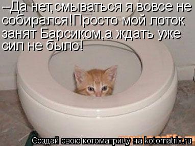 --Да нет,смываться я вовсе не собирался!Просто мой лоток занят Барсиком,а ждать уже сил не было!... Котоматрица: --Да нет,смываться я вовсе не собирался!Просто мой лоток занят Барсиком,а ждать уже сил не было!