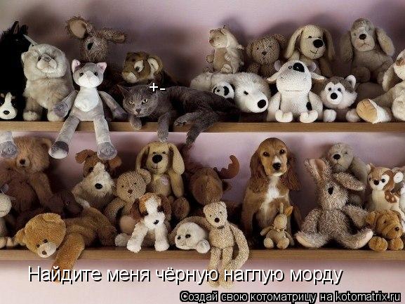+- Найдите меня чёрную наглую морду... Котоматрица: +- Найдите меня чёрную наглую морду