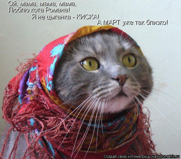 Котоматрица: Ой, мама, мама, мама, Люблю кота Романа! Я не цыганка - КИСКА! А МАРТ уже так близко!