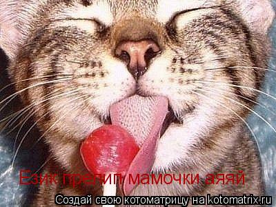 Език прелип мамочки аяяй... Котоматрица: Език прелип мамочки аяяй