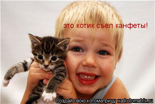 это котик съел канфеты!... Котоматрица: это котик съел канфеты!