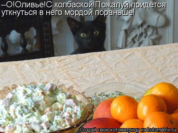 --О!Оливье!С колбаской!Пожалуй,придётся уткнуться в него мордой пораньше!... Котоматрица: --О!Оливье!С колбаской!Пожалуй,придётся уткнуться в него мордой пораньше!