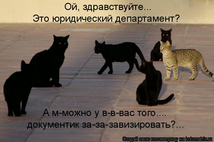 Ой, здравствуйте... Это юридический департамент? А м-можно у в-в-вас того.... документик за-за-завиз... Котоматрица: Ой, здравствуйте... Это юридический департамент? А м-можно у в-в-вас того.... документик за-за-завизировать?...