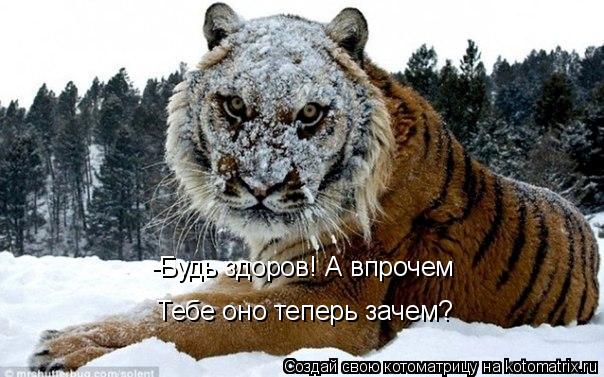 Котоматрица: -Будь здоров! А впрочем Тебе оно теперь зачем?