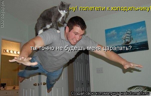 Котоматрица: ну! полетели к холодильнику! ты точно не будешь меня царапать?