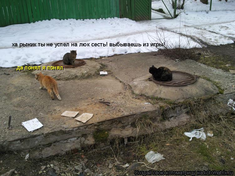 Котоматрица: ха рыжик ты не успел на люк сесть! выбываешь из игры!  да понял я понял