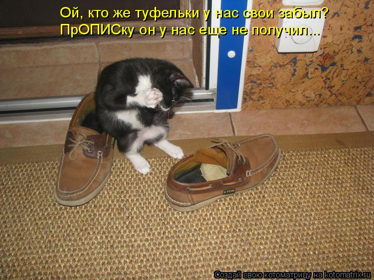 Котоматрица: Ой, кто же туфельки у нас свои забыл? ПрОПИСку он у нас еще не получил...