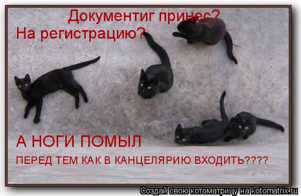 Котоматрица: Документиг принес? На регистрацию? ПЕРЕД ТЕМ КАК В КАНЦЕЛЯРИЮ ВХОДИТЬ???? А НОГИ ПОМЫЛ