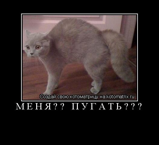 МЕНЯ?? ПУГАТЬ??? ... Котоматрица: МЕНЯ?? ПУГАТЬ???
