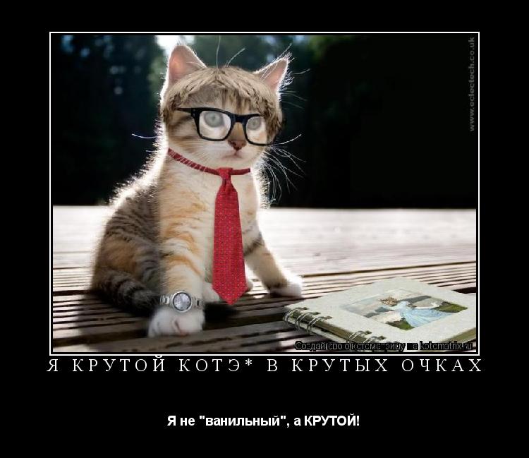 Я крутой КотЭ* В крутых очках Я не "ванильный", а КРУТОЙ!... Котоматрица: Я крутой КотЭ* В крутых очках Я не "ванильный", а КРУТОЙ!
