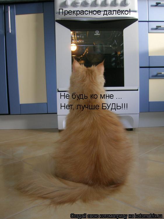 Котоматрица: Прекрасное далёко! Не будь ко мне ... Нет, лучше БУДЬ!!!