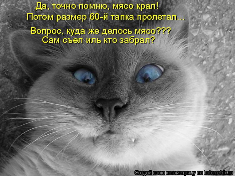 Да, точно помню, мясо крал! Потом размер 60-й тапка пролетал... Вопрос, куда же делось мясо??? Сам съ... Котоматрица: Да, точно помню, мясо крал! Потом размер 60-й тапка пролетал... Вопрос, куда же делось мясо??? Сам съел иль кто забрал?