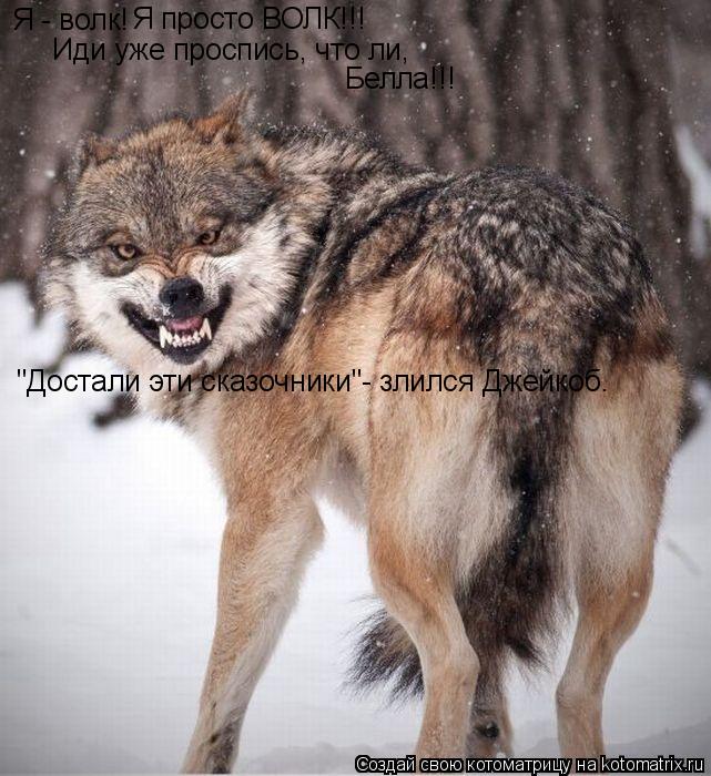 Я - волк! Я просто ВОЛК!!! Иди уже проспись, что ли, Белла!!! "Достали эти сказочники"- злился Джейк... Котоматрица: Я - волк! Я просто ВОЛК!!! Иди уже проспись, что ли, Белла!!! "Достали эти сказочники"- злился Джейкоб.