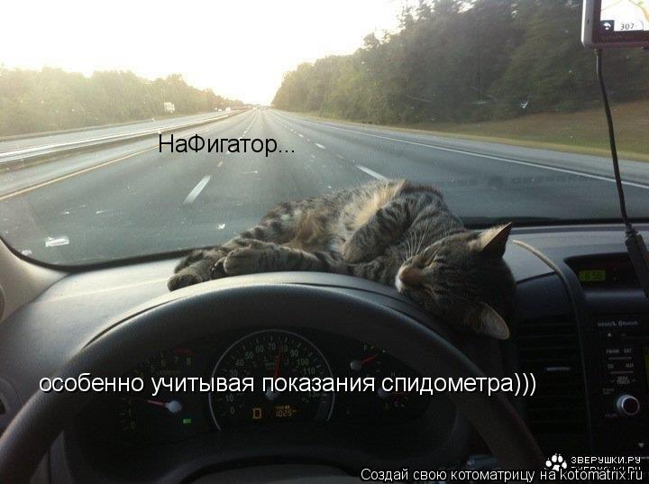 НаФигатор... особенно учитывая показания спидометра)))... Котоматрица: НаФигатор... особенно учитывая показания спидометра)))
