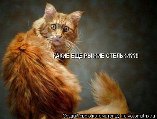 КАКИЕ ЕЩЕ РЫЖИЕ СТЕЛЬКИ??!!... Котоматрица: КАКИЕ ЕЩЕ РЫЖИЕ СТЕЛЬКИ??!!