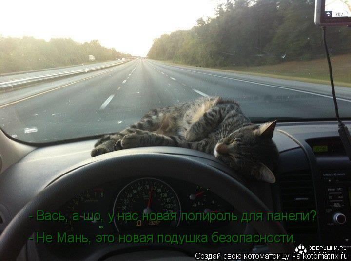- Не Мань, это новая подушка безопасности. - Вась, а шо, у нас новая полироль для панели?... Котоматрица: - Не Мань, это новая подушка безопасности. - Вась, а шо, у нас новая полироль для панели?