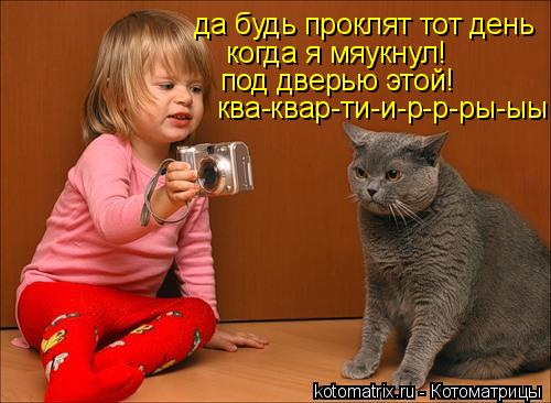 да будь проклят тот день когда я мяукнул! под дверью этой! ква-квар-ти-и-р-р-ры-ыы!!... Котоматрица: да будь проклят тот день когда я мяукнул! под дверью этой! ква-квар-ти-и-р-р-ры-ыы!!