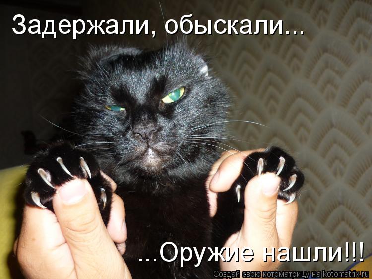 Котоматрица: Задержали, обыскали... ...Оружие нашли!!!