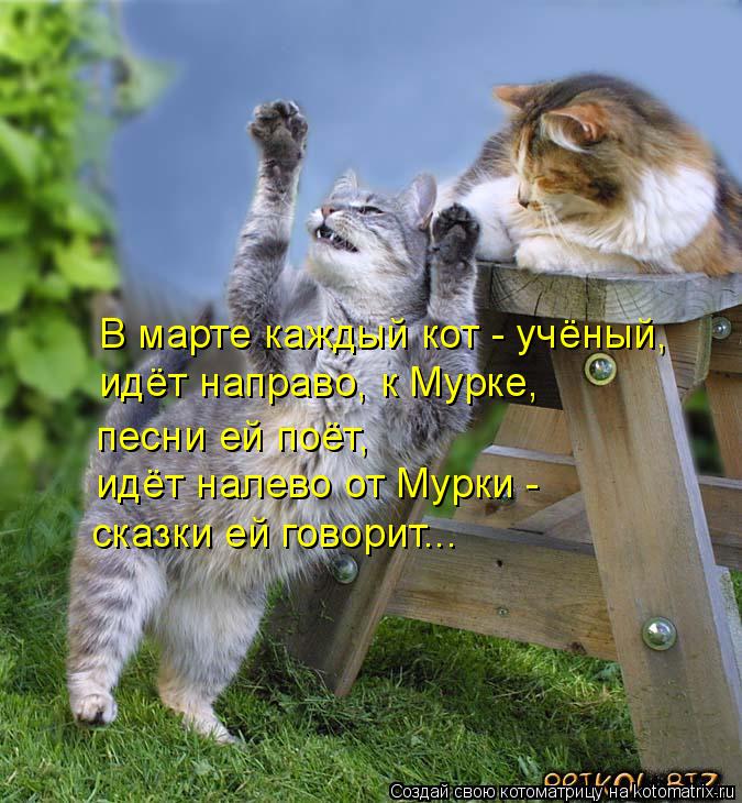 Котоматрица: В марте каждый кот - учёный, идёт направо, к Мурке,  песни ей поёт, идёт налево от Мурки - сказки ей говорит...
