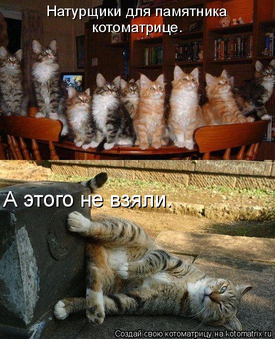 Натурщики для памятника котоматрице. А этого не взяли.... Котоматрица: Натурщики для памятника котоматрице. А этого не взяли.