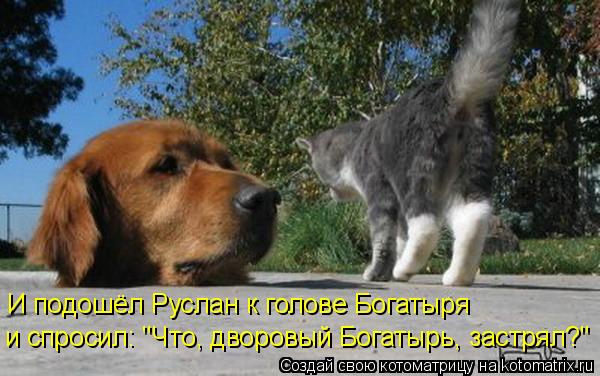 и спросил: "Что, дворовый Богатырь, застрял?" И подошёл Руслан к голове Богатыря... Котоматрица: и спросил: "Что, дворовый Богатырь, застрял?" И подошёл Руслан к голове Богатыря