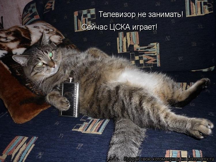 Телевизор не занимать! Сейчас ЦСКА играет!... Котоматрица: Телевизор не занимать! Сейчас ЦСКА играет!