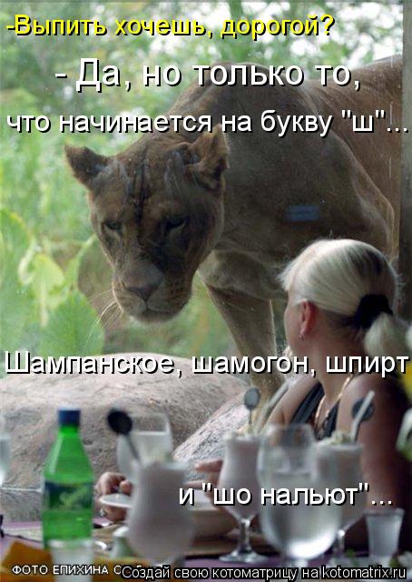 -Выпить хочешь, дорогой? - Да, но только то, что начинается на букву "ш"... Шампанское, шамогон, шп... Котоматрица: -Выпить хочешь, дорогой? - Да, но только то, что начинается на букву "ш"... Шампанское, шамогон, шпирт и "шо нальют"...