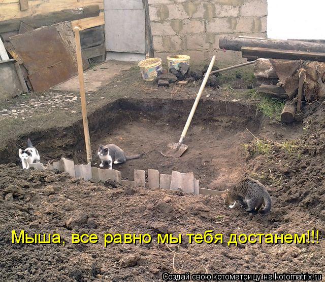 Мыша, все равно мы тебя достанем!!!... Котоматрица: Мыша, все равно мы тебя достанем!!!