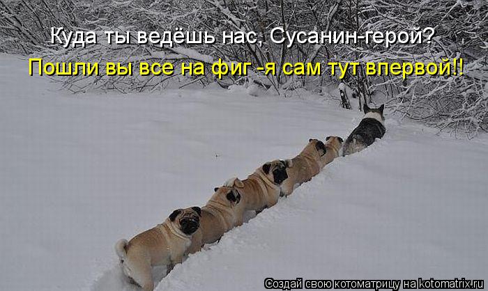 Куда ты ведёшь нас, Сусанин-герой? Пошли вы все на фиг -я сам тут впервой!!... Котоматрица: Куда ты ведёшь нас, Сусанин-герой? Пошли вы все на фиг -я сам тут впервой!!
