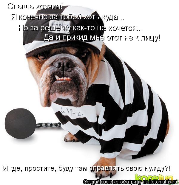 Слышь хозяин! Я конечно за тобой хоть куда... Но за решетку как-то не хочется... Да и прикид мне эт... Котоматрица: Слышь хозяин! Я конечно за тобой хоть куда... Но за решетку как-то не хочется... Да и прикид мне этот не к лицу! И где, простите, буду там справл