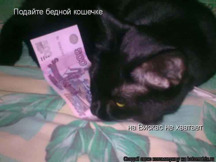 Подайте бедной кошечке на Вискас не хватает... Котоматрица: Подайте бедной кошечке на Вискас не хватает
