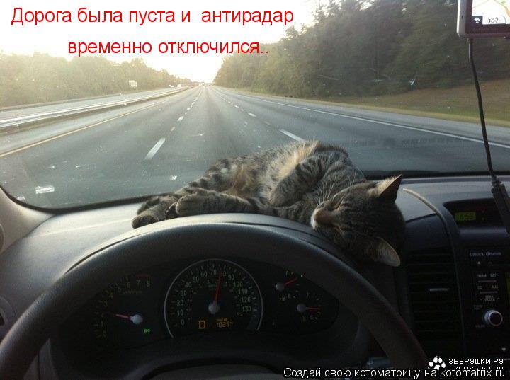 Дорога была пуста и антирадар временно отключился..... Котоматрица: Дорога была пуста и антирадар временно отключился..