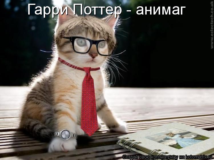 Гарри Поттер - анимаг... Котоматрица: Гарри Поттер - анимаг