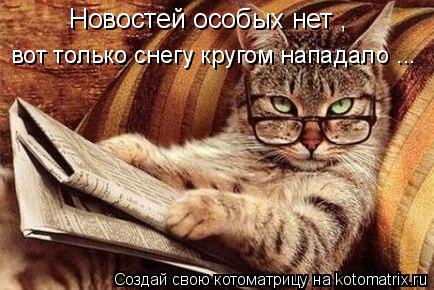 Новостей особых нет , вот только снегу кругом нападало ...... Котоматрица: Новостей особых нет , вот только снегу кругом нападало ...