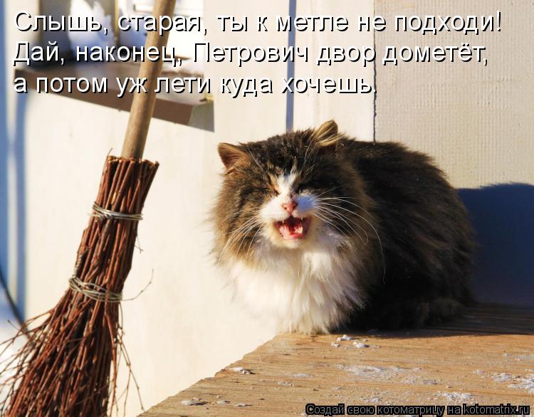 Слышь, старая, ты к метле не подходи! Дай, наконец, Петрович двор дометёт, а потом уж лети куда хоче... Котоматрица: Слышь, старая, ты к метле не подходи! Дай, наконец, Петрович двор дометёт, а потом уж лети куда хочешь.