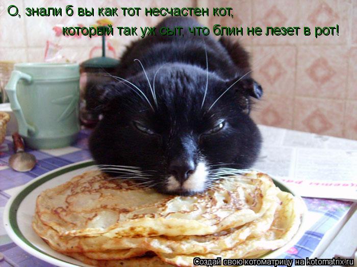 Котоматрица: О, знали б вы как тот несчастен кот, который так уж сыт, что блин не лезет в рот!