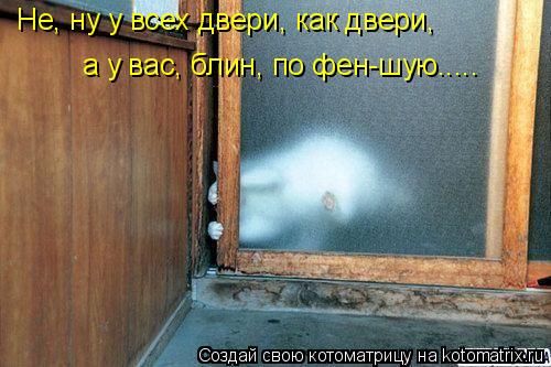 Не, ну у всех двери, как двери, а у вас, блин, по фен-шую........ Котоматрица: Не, ну у всех двери, как двери, а у вас, блин, по фен-шую.....