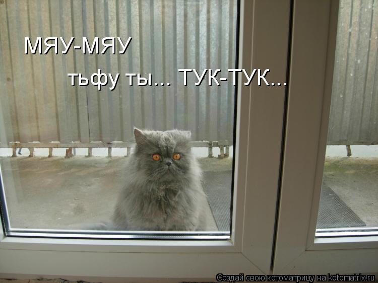 Котоматрица: МЯУ-МЯУ  тьфу ты... ТУК-ТУК...