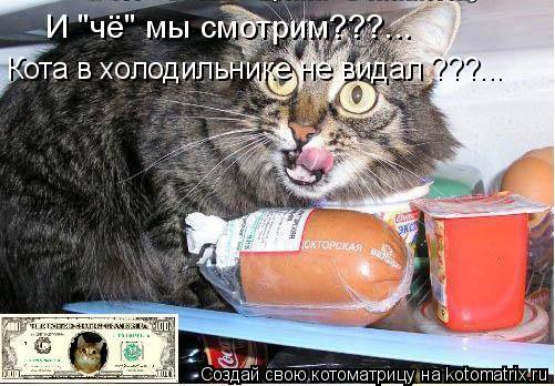 Котоматрица: И "чё" мы смотрим???...  Кота в холодильнике не видал ???...