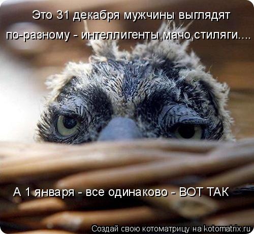 Котоматрица: Это 31 декабря мужчины выглядят  по-разному - интеллигенты,мачо,стиляги.... А 1 января - все одинаково - ВОТ ТАК