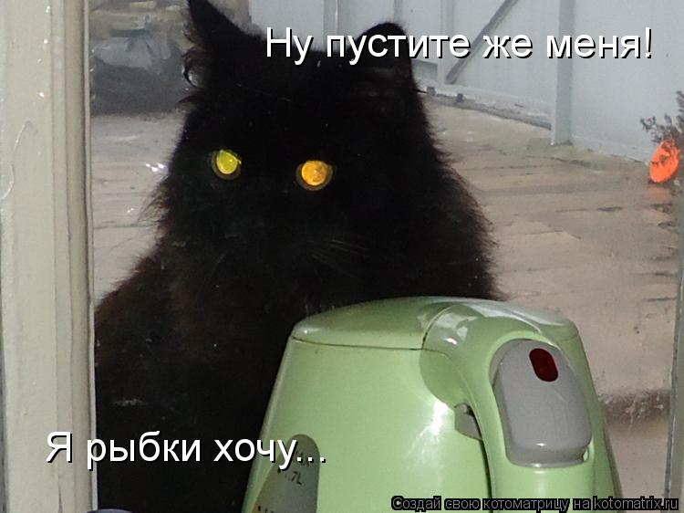 Котоматрица: Ну пустите же меня! Я рыбки хочу...