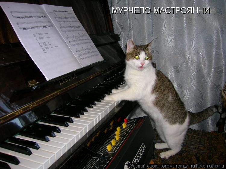 Котоматрица: МУРЧЕЛО-МАСТРОЯННИ