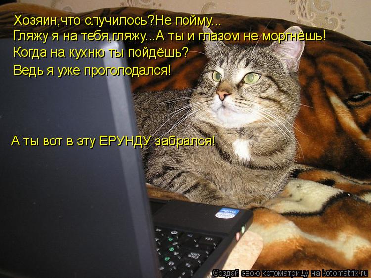 Котоматрица: Хозяин,что случилось?Не пойму... Гляжу я на тебя,гляжу...А ты и глазом не моргнёшь! Когда на кухню ты пойдёшь? Ведь я уже проголодался! А ты вот 