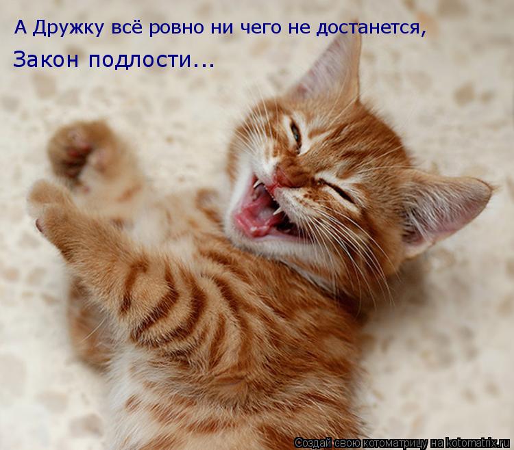 Котоматрица: А Дружку всё ровно ни чего не достанется, Закон подлости...